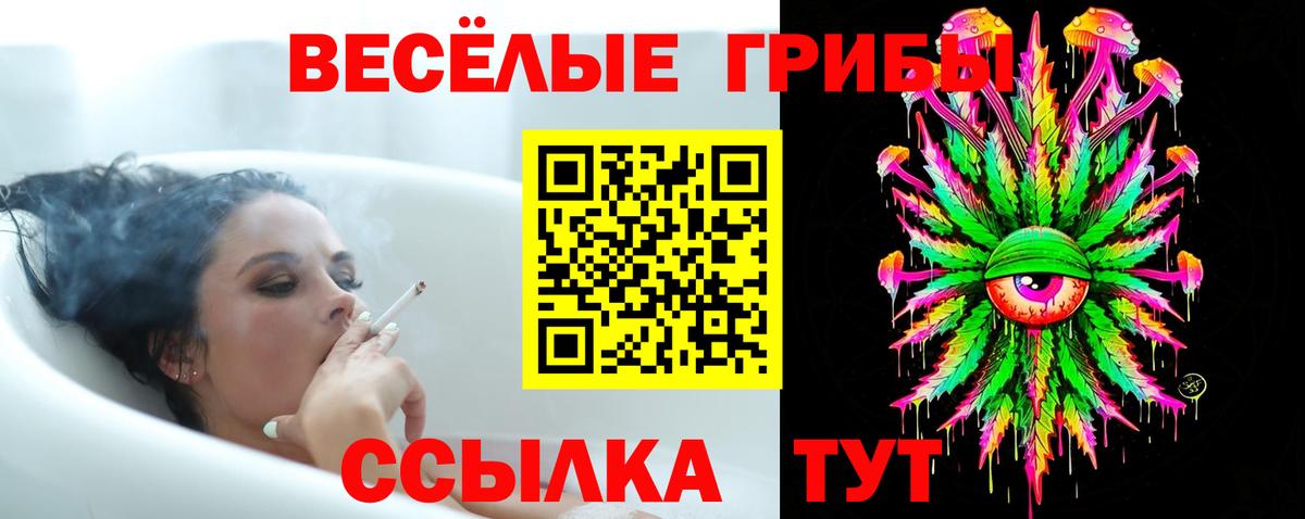 Галлюциногенные грибы Cubensis  продажа наркотиков  Новороссийск  Вход с VPN 