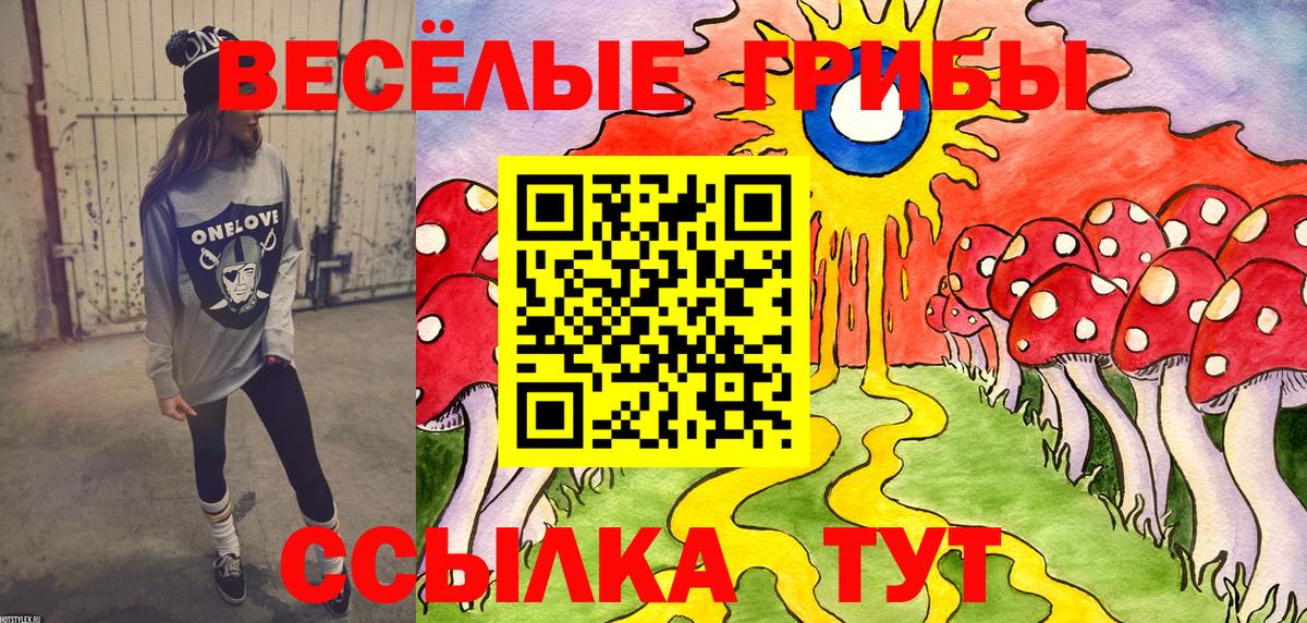 Галлюциногенные грибы мухоморы Новороссийск